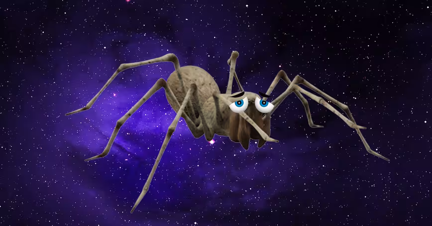 Spiders in space are so unhappy they can’t even build decent webs