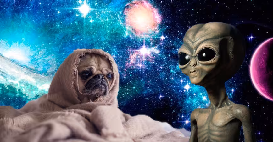 Here’s 3 sad science news stories to ruin your day (because it’s still 2020)