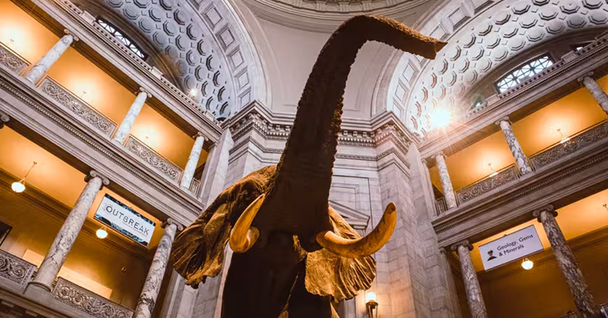 Night at the Museum brought to life by new mixed reality tech
