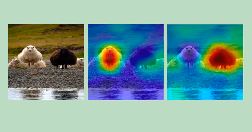 Deep learning models DON’T need to be black boxes — here’s how