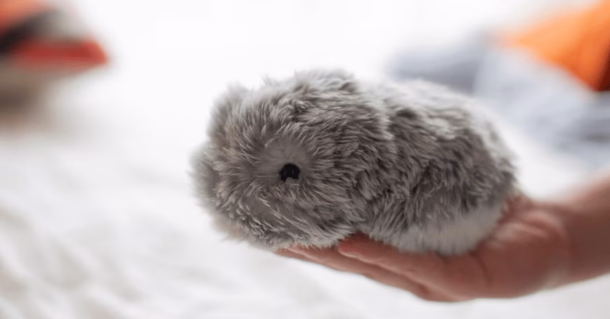 This cute AI pet will fill the deep, dark void in your life