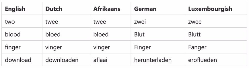 Germanic languages have many orthographic similarities.
