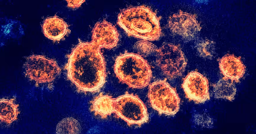 Scientists use AI to identify existing drugs to fight COVID-19