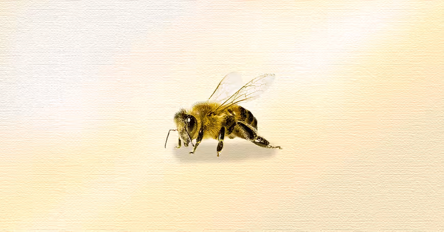 How to generate buzz in a buzzless industry