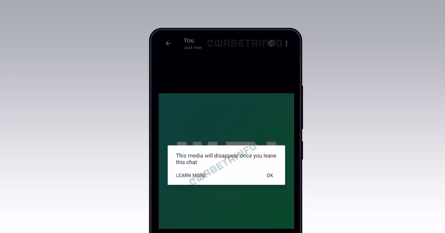 WhatsApp is reportedly working on ‘disappearing images’ — about fucking time