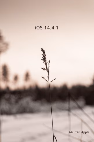 iOS 14.4.1