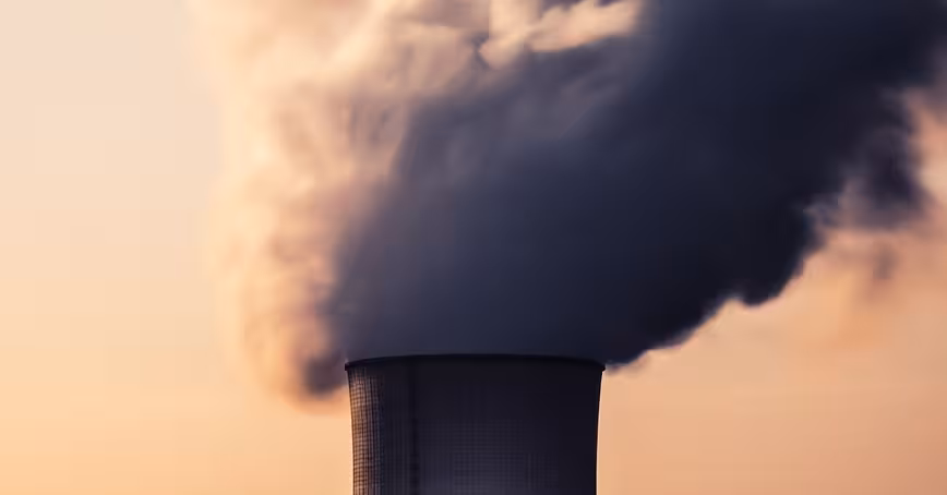 How can companies become climate-neutral? We asked the experts Featured Image