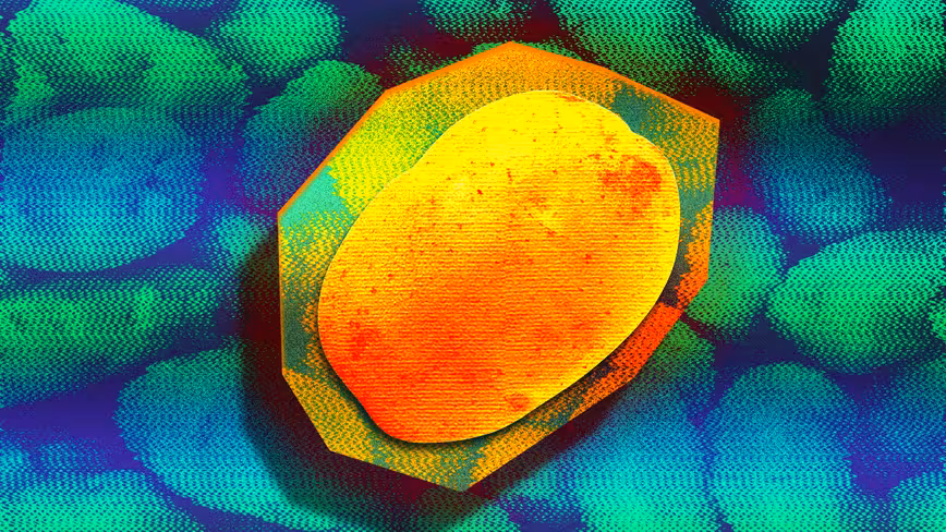 Stop playing hot potato! Why the blame game is hurting your business