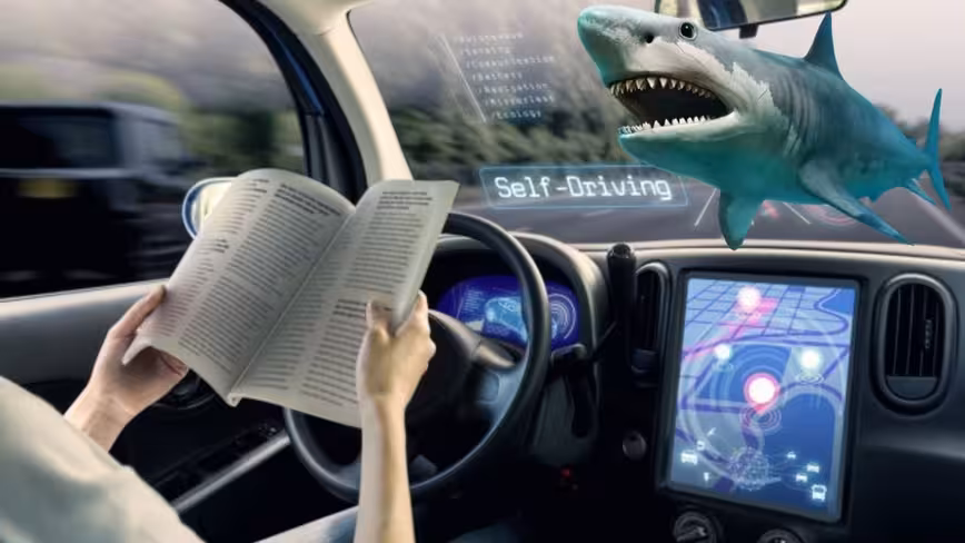 3 in 10 Americans would rather swim with sharks than ride an autonomous vehicle