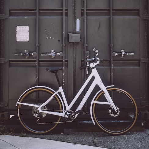 LeMond Dutch ebike