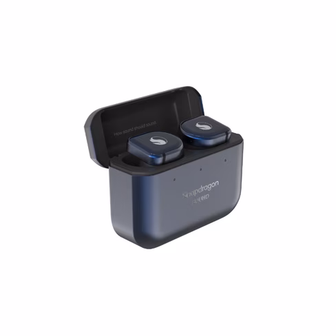 Master & Dynamic Earphones Case