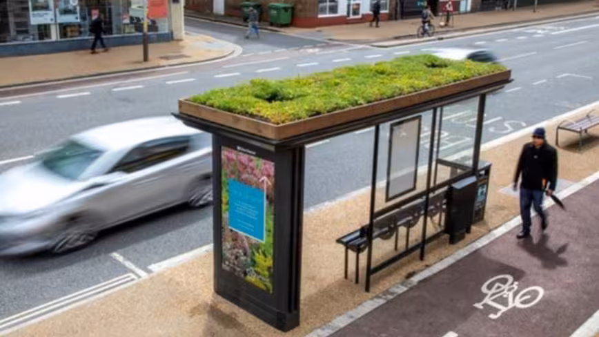 Leicester installs bee-friendly bus stops