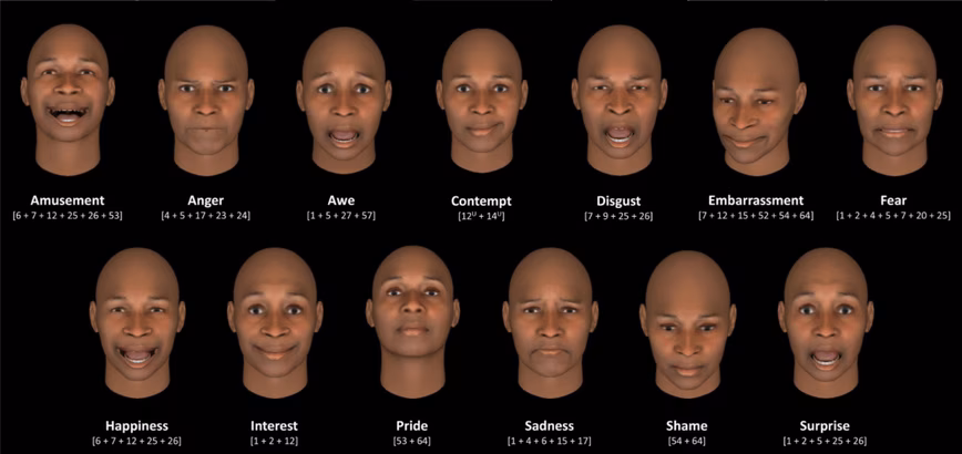 The researchers used the Facial Action Coding System, which specifies a set of action units that each represent the movement of one or more facial muscles.