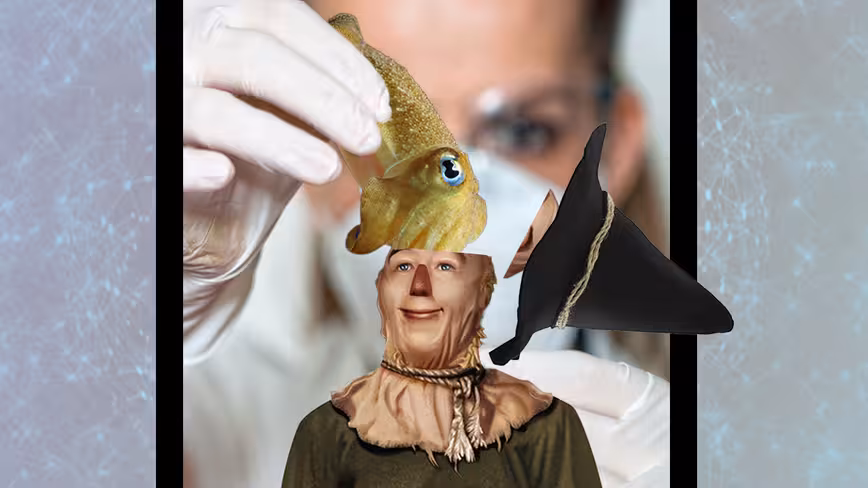 If AI only had a brain: Is the human mind the best model to copy?