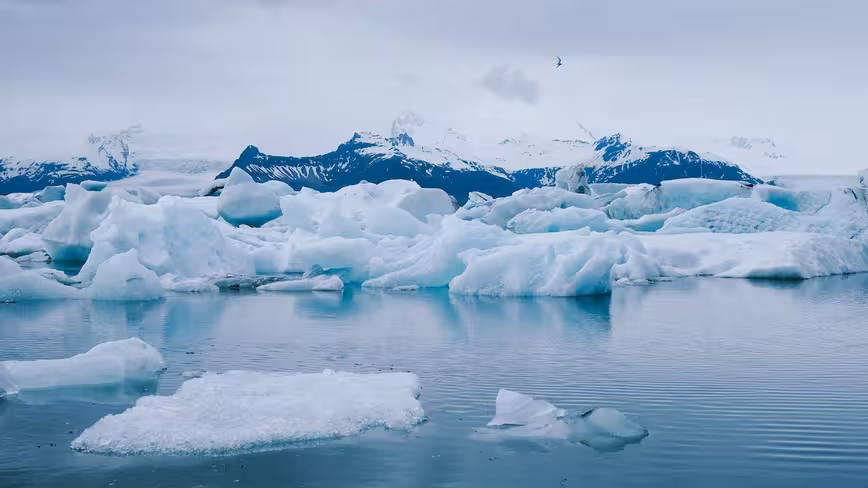 Will the EU reach its emissions targets? 3 sustainability startups weigh in