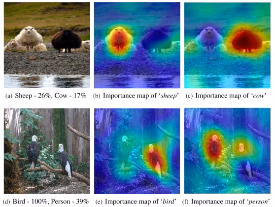 Examples of saliency maps produced