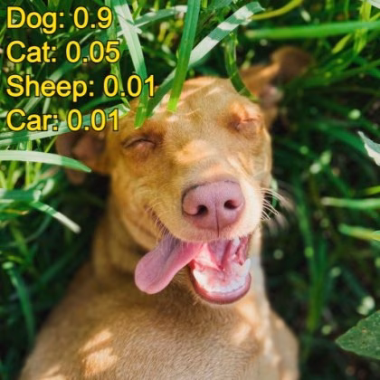 machine learning image classification dog
