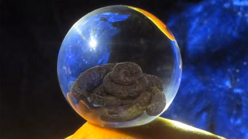 TikTok’s algorithm is helping ‘psychics’ exploit Gabby Petito’s death