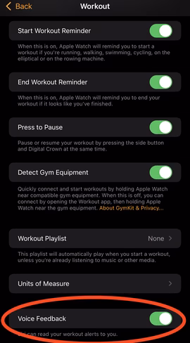turn off voice feedback iPhone