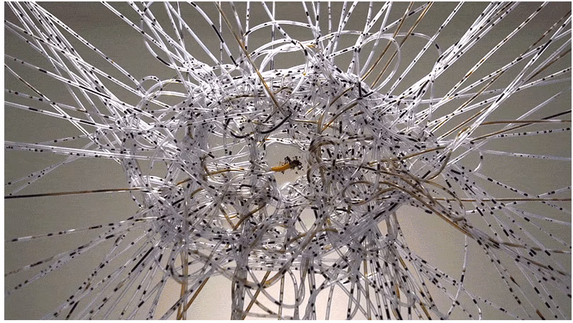 Installation by Thijs Biersteker