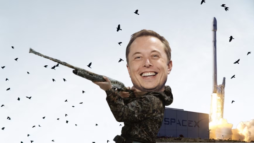 SpaceX’s success is built on the bones of tiny birds