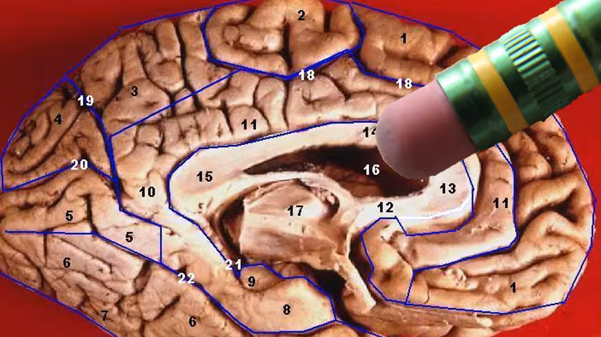 Scientists may have discovered a way to make us forget bad memories