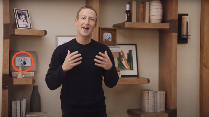 mark zuckerberg wall facebook connect rabbit thing