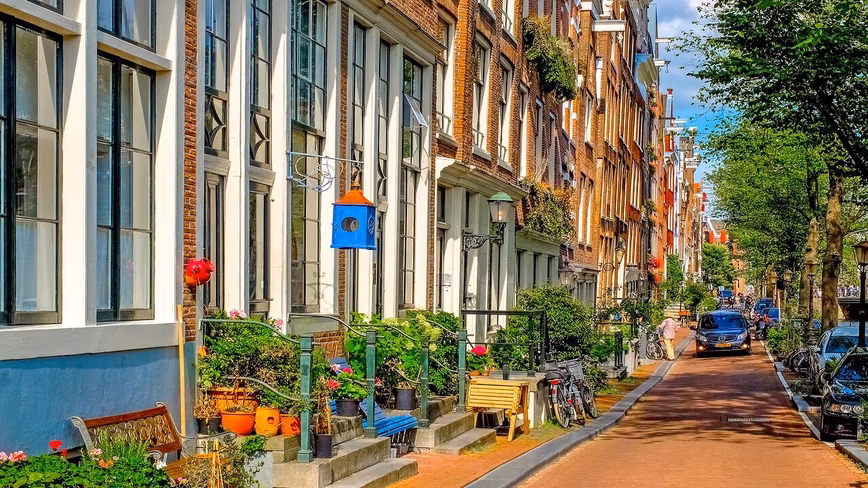 car drivers can help green the streets 