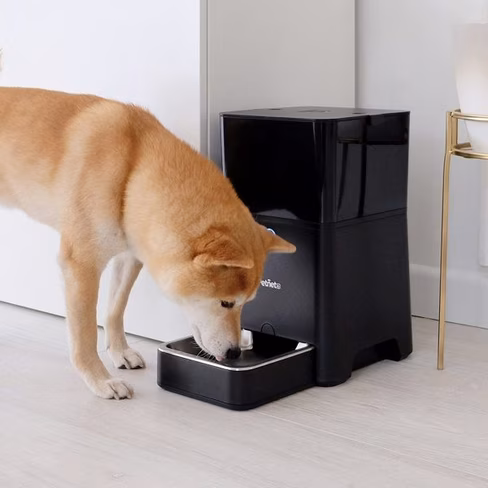 Petnet automated pet feeder