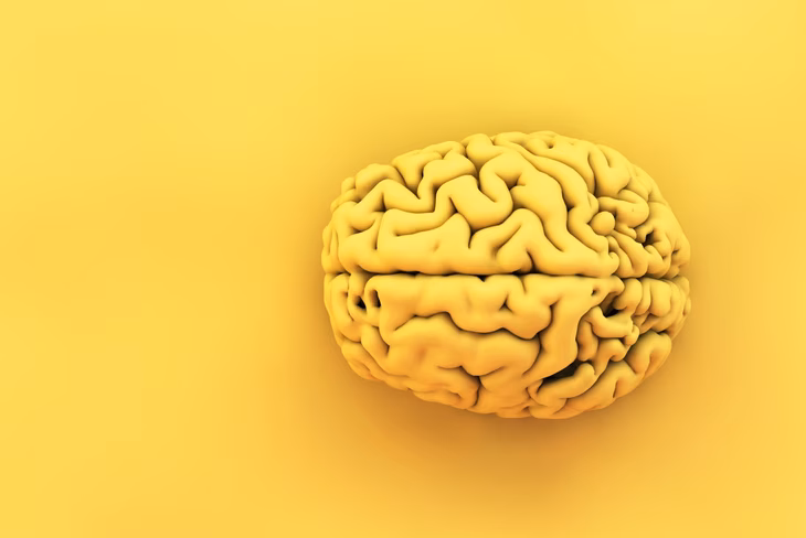 Brain