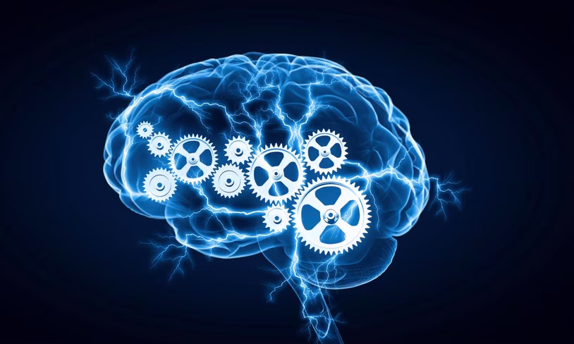 brain and gears