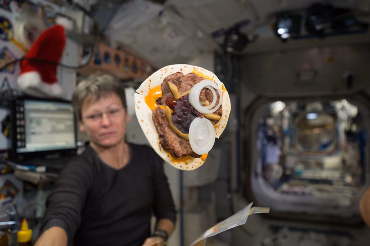 A "space cheeseburger" is seen floating inside the International Space Station with Expedition 50 flight engineer Peggy Whitson of NASA in the background
