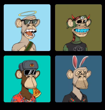 A few members of the Bored Ape Yatch Club. This is just a good old PNG image, though. 