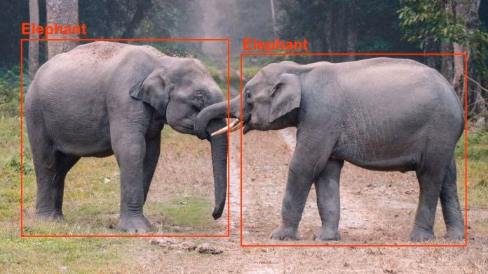 machine learning