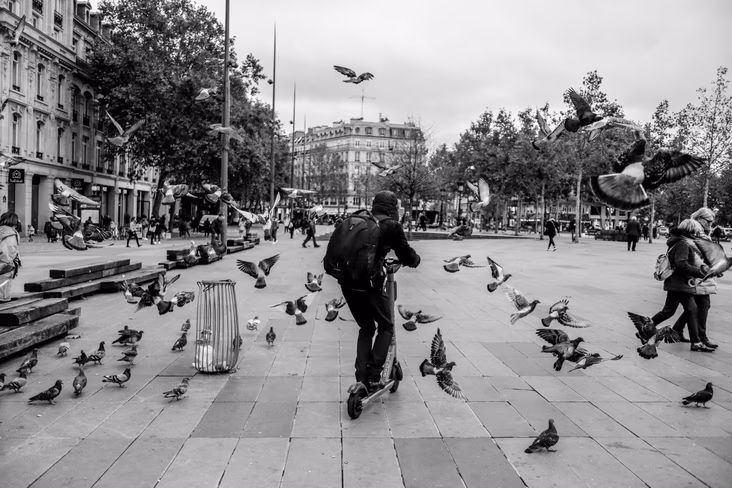 sound escooter birds