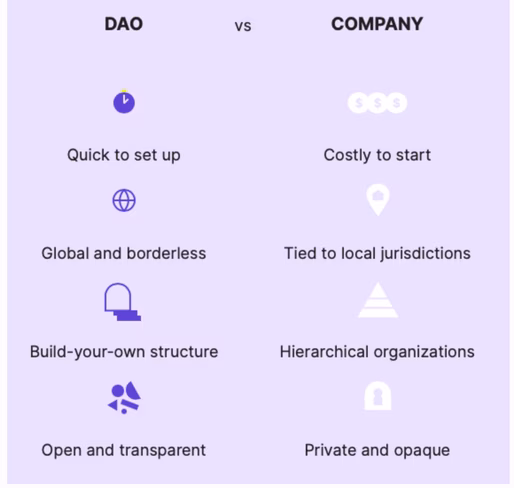 DAO vs company 