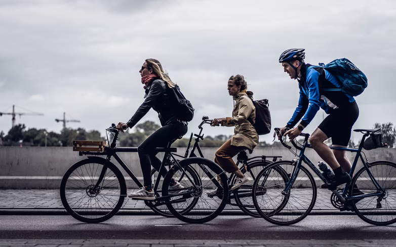 fitness and social ebike