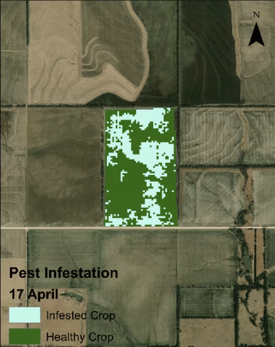 Image of Green EO's Pest Infestation API