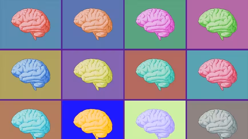 European MRI study provides experimental evidence indicating our brains are quantum