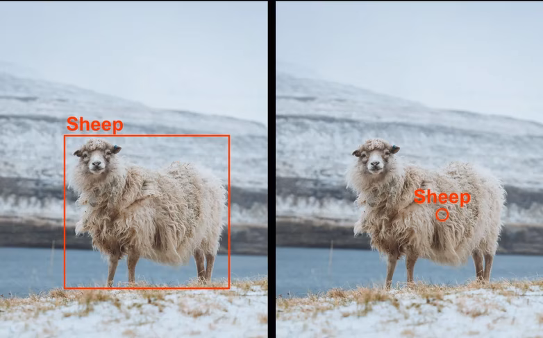 sheep-object-detection-bounding-box-vs-centroid