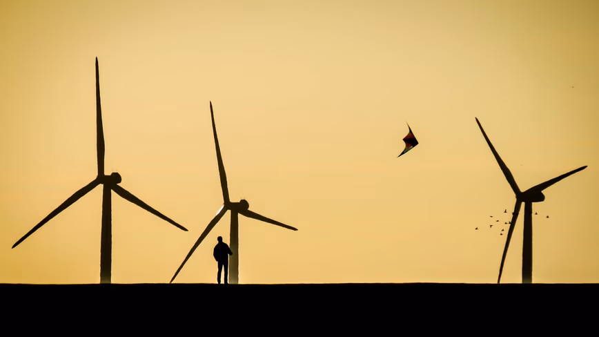 a bird flying among wind turbines