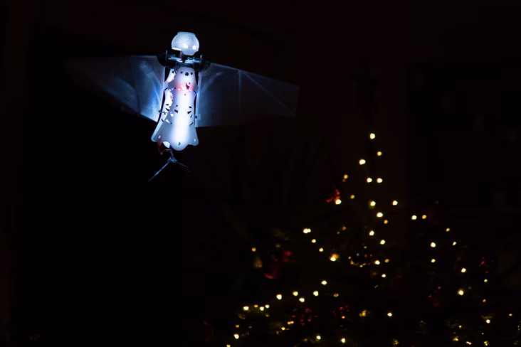 bionspired drones 