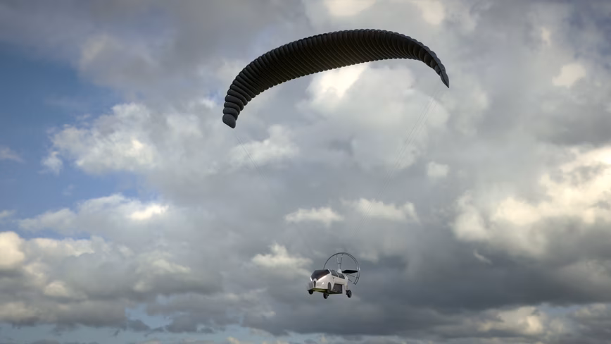 bioinspired drones