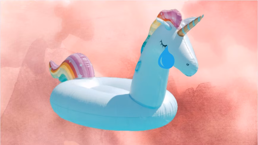 The valuations of Europe’s unicorns have plunged amid a sharp fall in public markets
