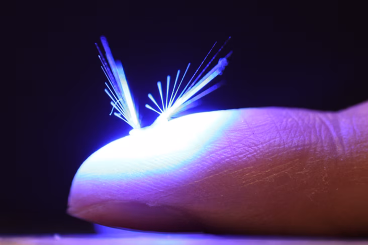 tiny pollinator robot powered by wind and light
