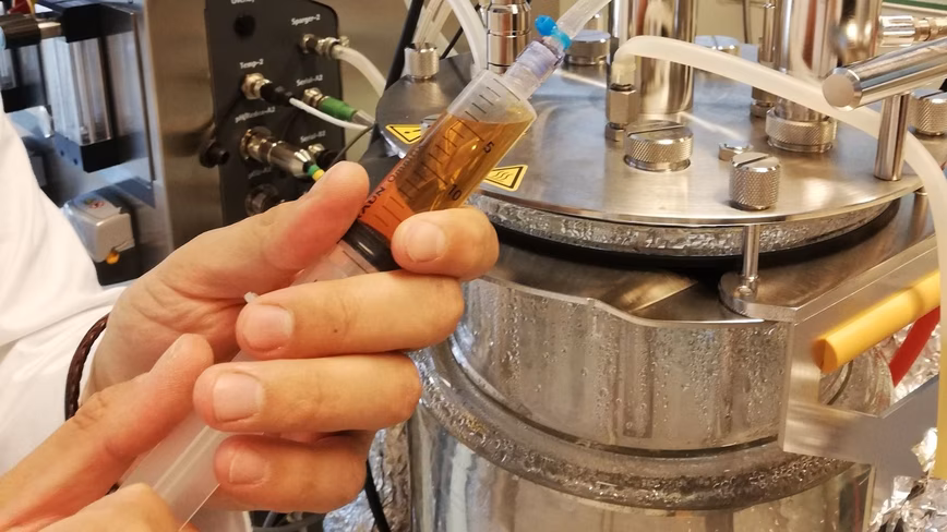 Paleo develops different animal heme proteins through precision fermentation.