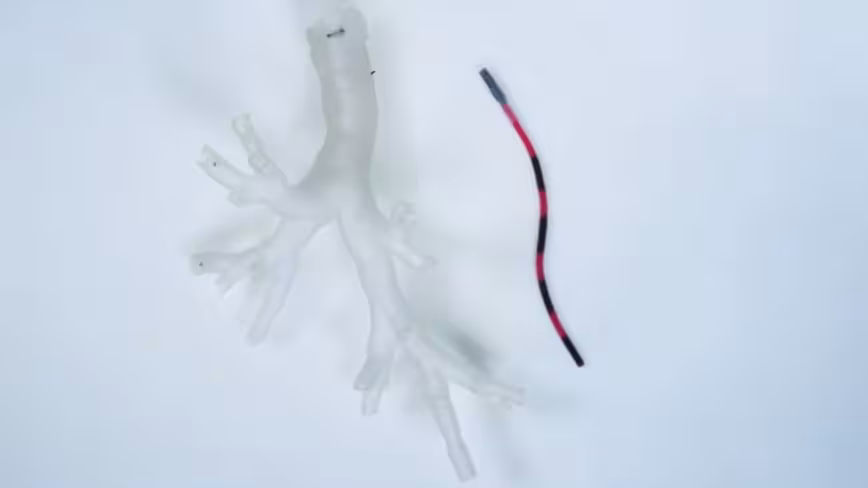 These tiny robotic tentacles could travel into the lungs to treat cancer