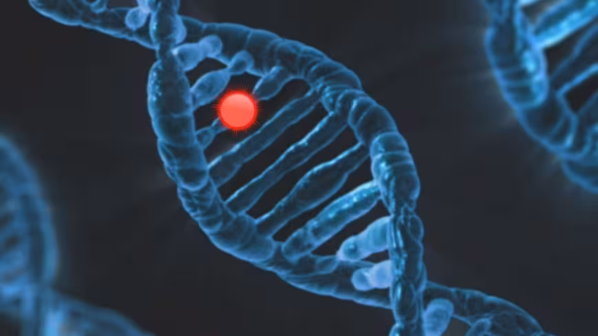 DeepMind’s new AI tool can predict genetic diseases