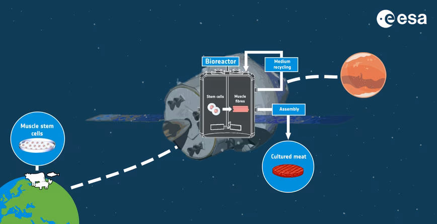 cultivated mission for space mission graphic representation 