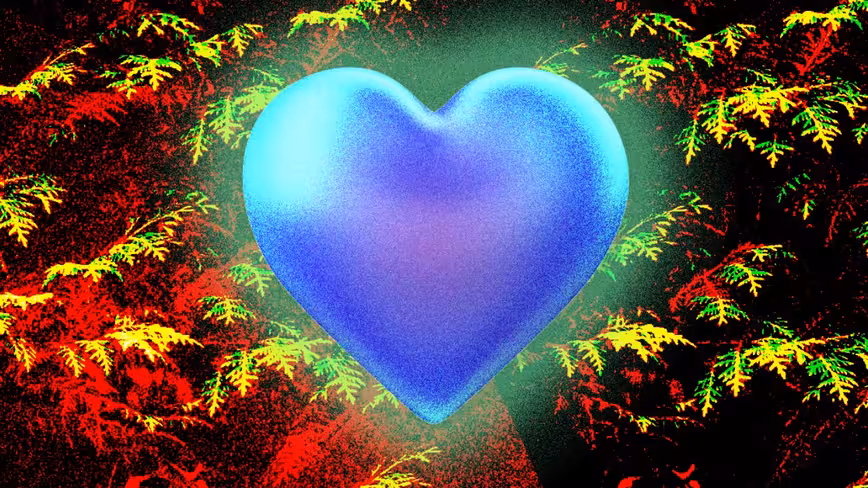 My love letter to Rails (and Ruby)